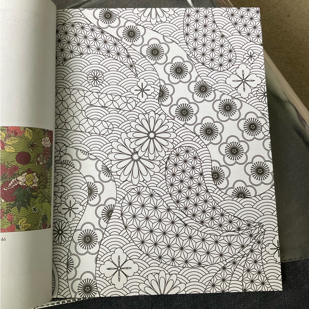 Adult Coloring Books - Picture 11 of 13